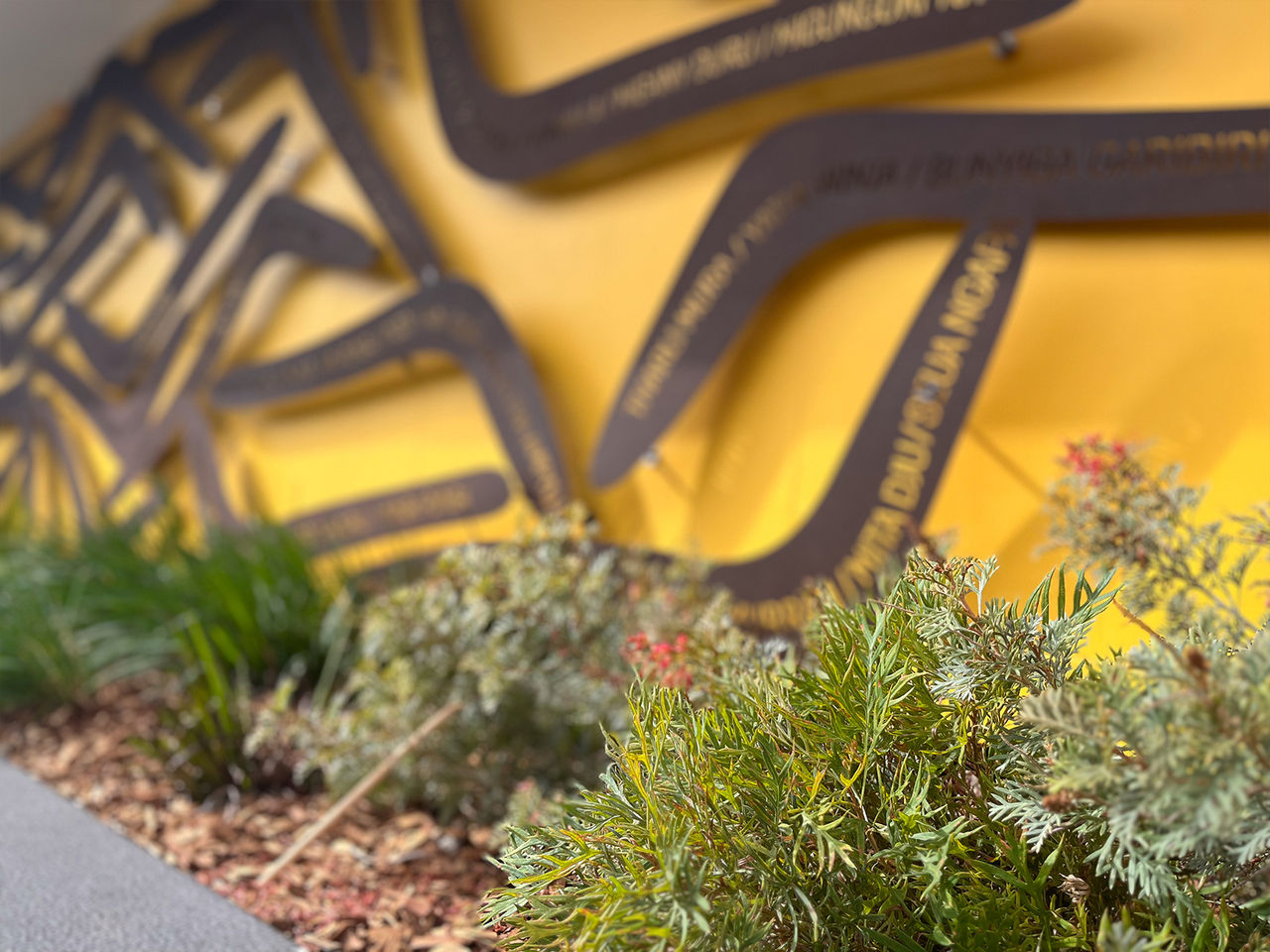 Art installation by Bianca Beetson titled 'Welcome'. Features hunting boomerangs with welcome greetings in Aboriginal and Torres Strait Islander language dialects against a bright yellow wall. Greenery can be seen in the foreground of the image.