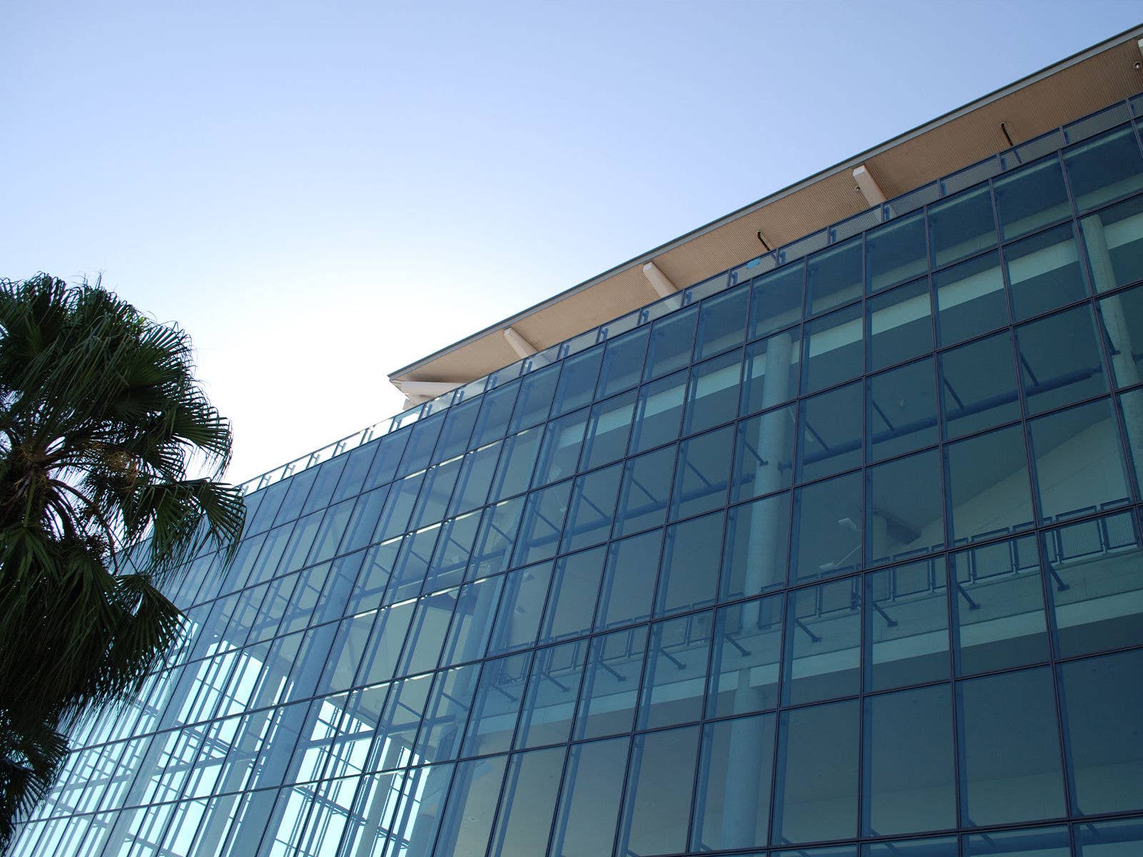 The glass window facade at Suncorp Stadium