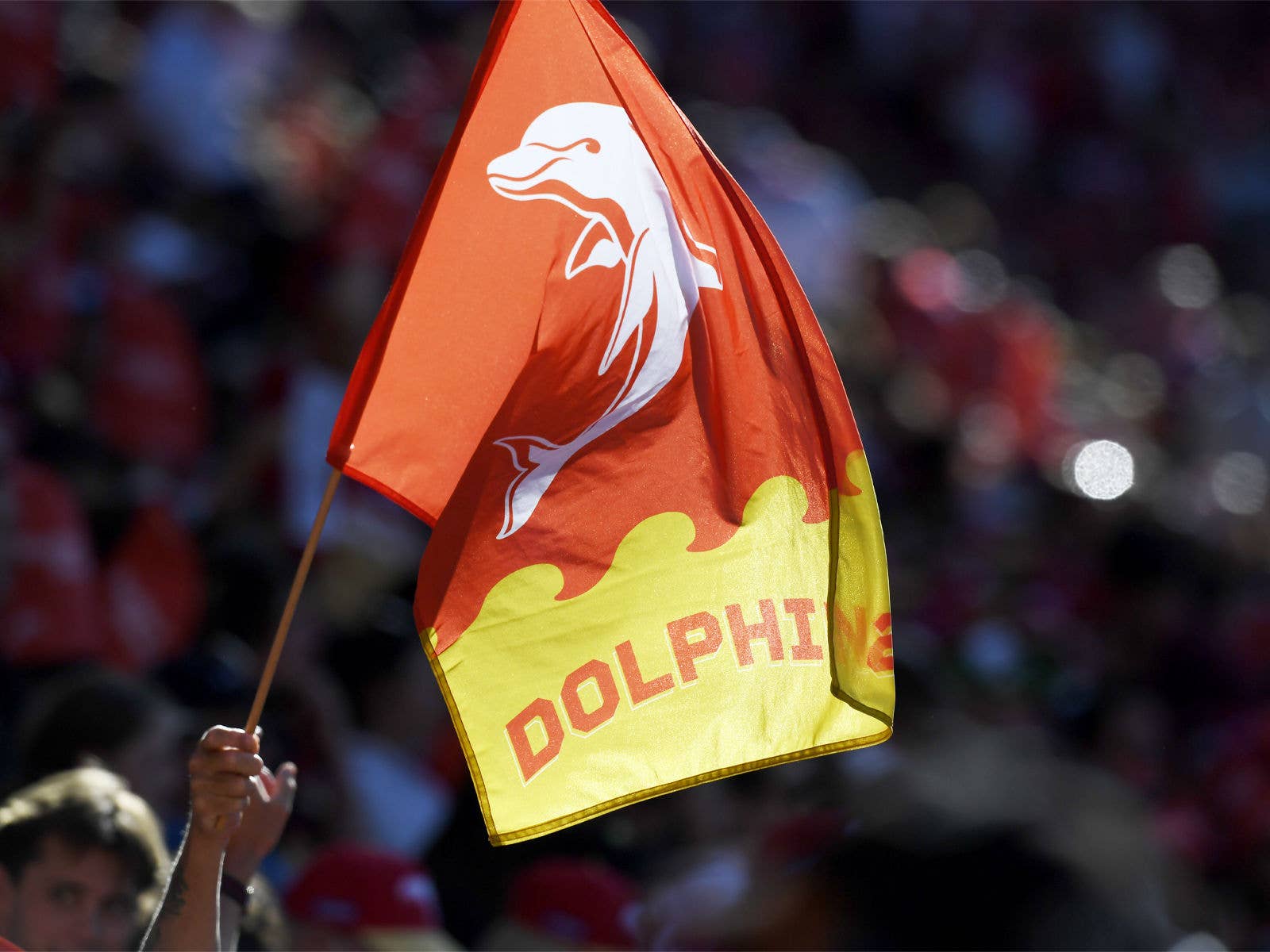 NRL Dolphins Flag